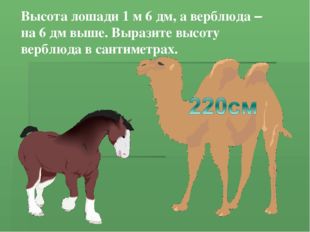 Высота лошади 1 м 6 дм, а верблюда – на 6 дм выше. Выразите высоту верблюда в