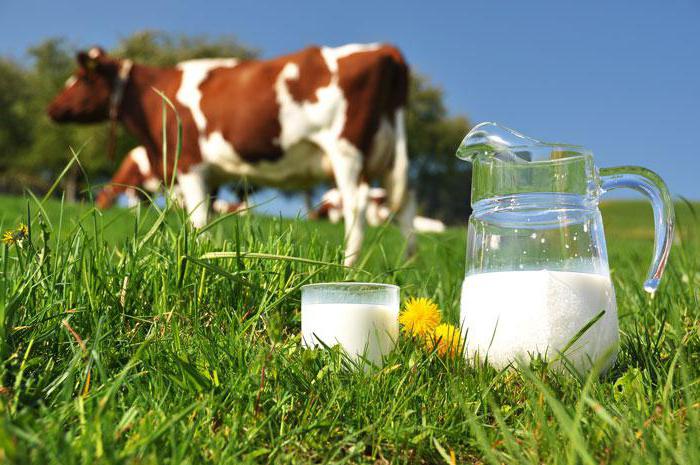 аллергия на белок коровьего молока у грудничка
