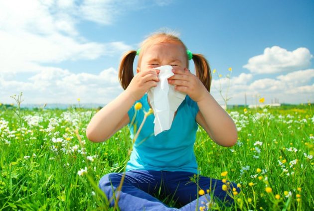 Аллергический ринит у детей обостряется при контакте с аллергеном