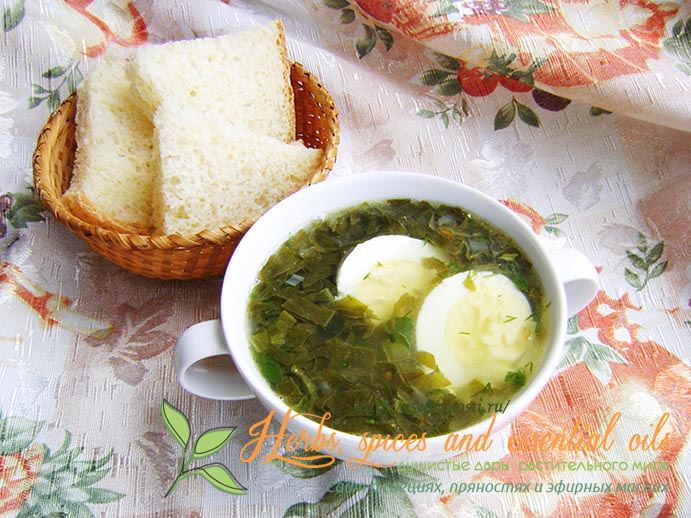 Зеленые супы