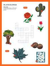 Plants and Flowers Crossword