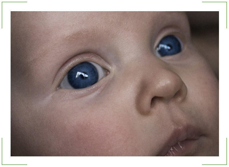 Зрение у новорождённых
